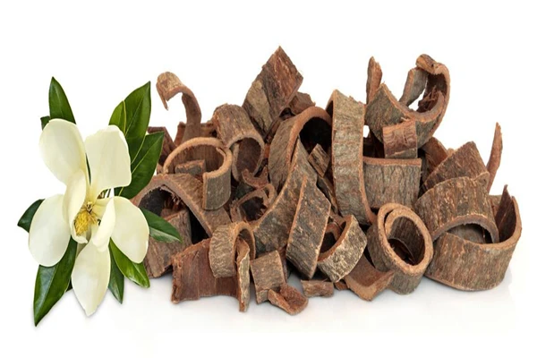 Magnolia Officinalis Extract Magnolia Officinalis Extract