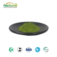 Polvo de pasto de trigo crudo