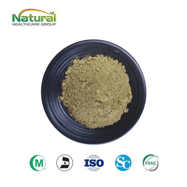 Polvo de palma enana americana