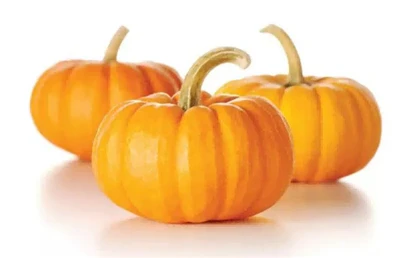 Centrarse en los beneficios de la proteína en polvo de semilla de calabaza or...