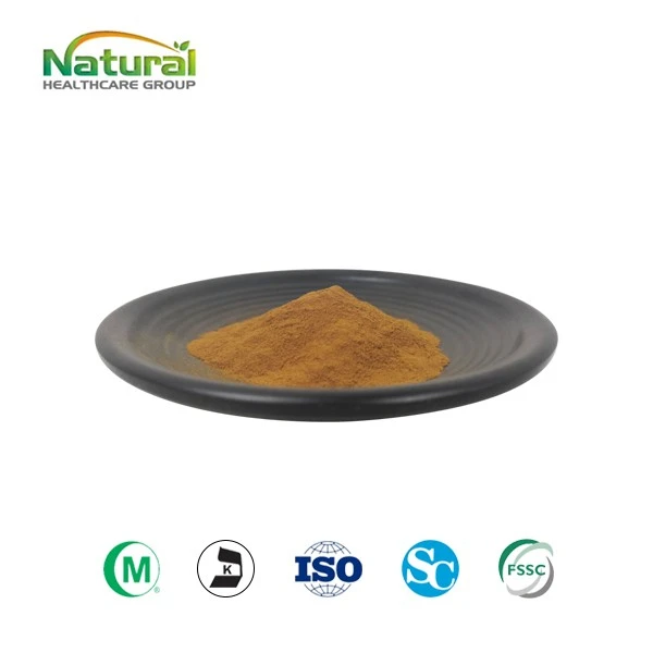 Oyster Mushroom Extract
